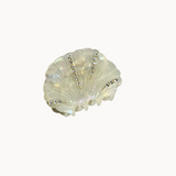 LIMA Hair clip - Off-white